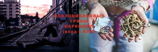 ПСИЛОЦИБИНОВЫЕ ГРИБЫ Балабаново